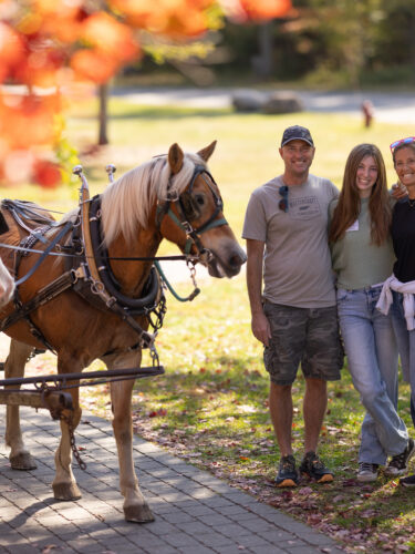 Three people standing next to two horses with fall leaves in the foreground